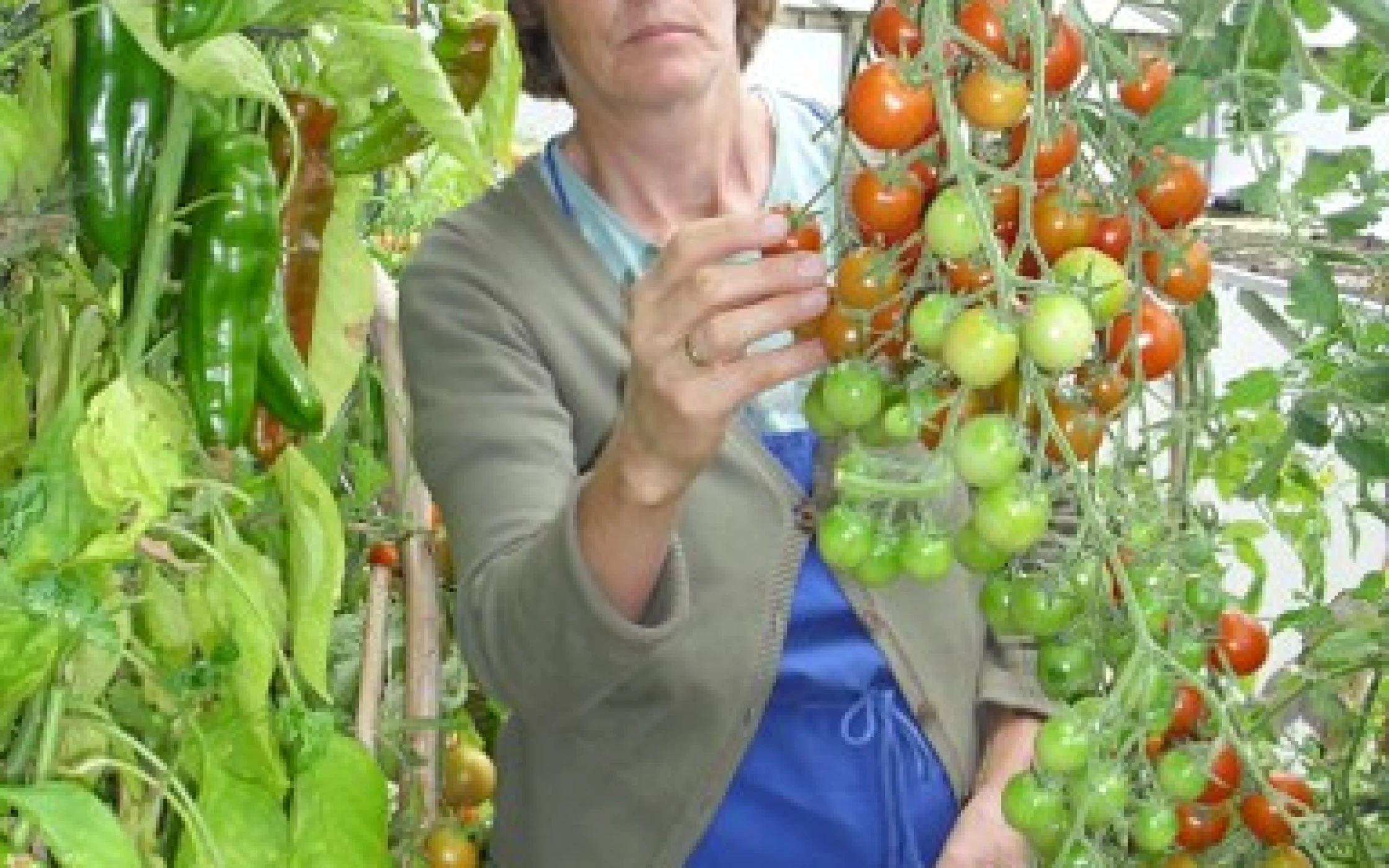 Hilde Rottensteiner_29 09 12_09 57_1348905453_383x600.jpg